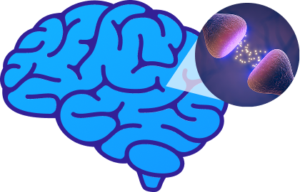 CB1 receptors icon.